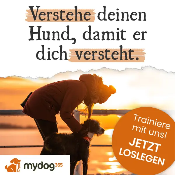 Verstehe deinen Hund