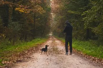 Hundeschule Appenzell Ausserrhoden