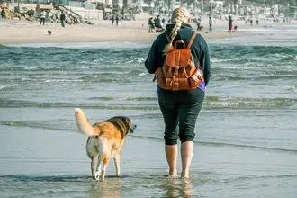 Hundeschule Berlin