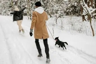 Hundeschule Falkenberg Elster