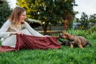 Hundeschule Geesthacht