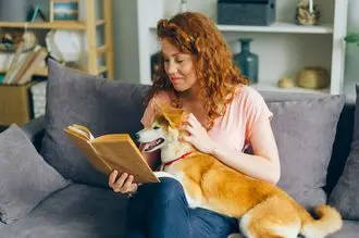 Hundeschule Gützkow