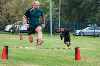 Hundeschule Jüterbog