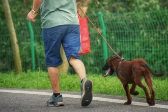 Hundeschule Kreuztal