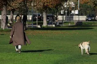 Hundeschule Laufen