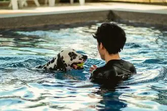 Hundeschule Lehesten