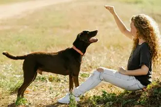 Hundeschule Leonding