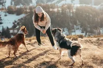 Hundeschule Liebenwalde