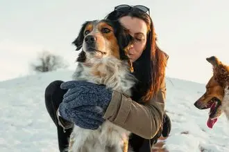 Hundeschule Limbach Oberfrohna