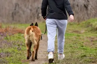 Hundeschule Lüdenscheid