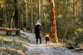 Hundeschule Mörfelden Walldorf