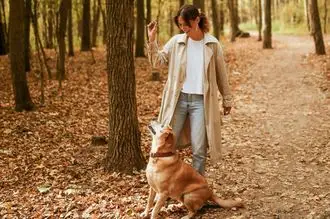 Hundeschule Nater