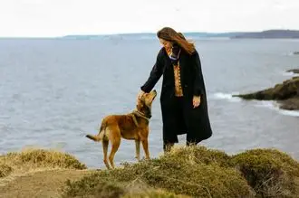 Hundeschule Neukirchen