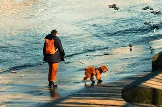 Hundeschule Oebisfelde Weferlingen