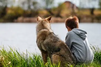 Hundeschule Rehburg Loccum