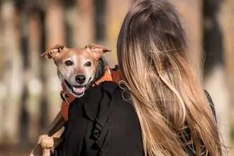 Hundeschule Remagen