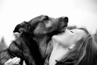 Hundeschule Rennerod