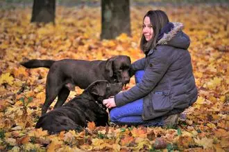 Hundeschule Rheinhessen Nahe