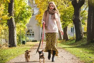 Hundeschule Rheinstetten
