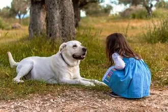 Hundeschule Rüti