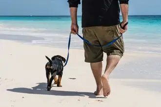 Hundeschule Runkel