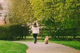 Hundeschule Schraplau