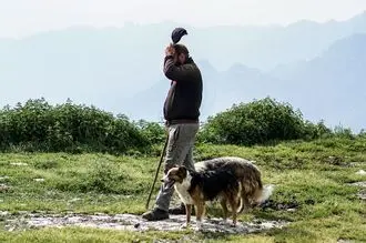 Hundeschule Schwarzenborn