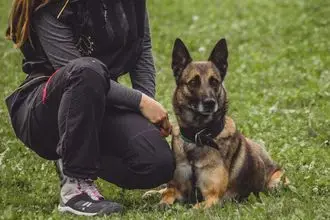 Hundeschule Schwelm