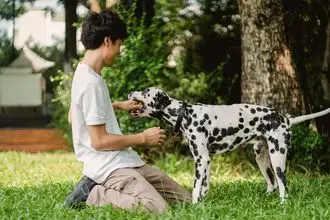 Hundeschule Sider