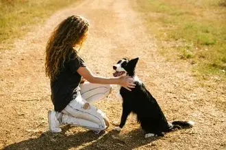 Hundeschule Spenge