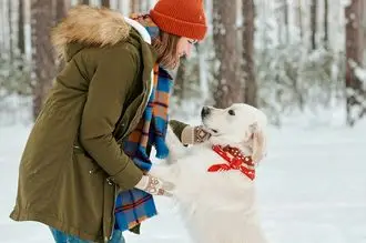 Hundeschule Spreitenbach