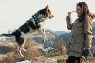 Hundeschule St Georgen