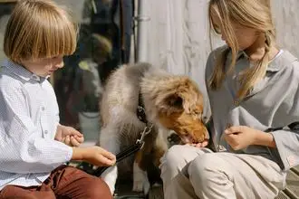 Hundeschule Steffiburg