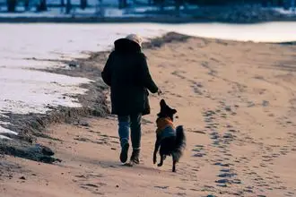 Hundeschule Stockerau