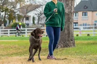Hundeschule Sulz