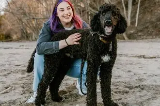 Hundeschule Suree