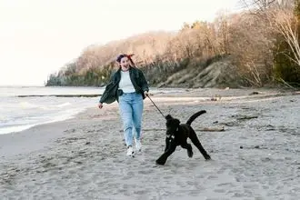 Hundeschule Sylt