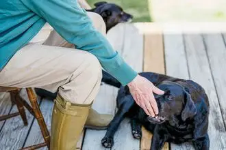 Hundeschule Tanna