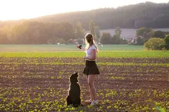 Hundeschule Thurgau