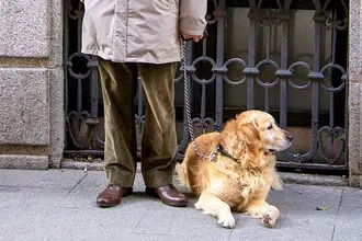Hundeschule Tirol