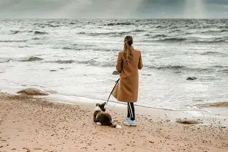 Hundeschule Uslar