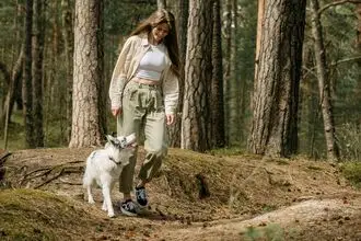 Hundeschule Vacha