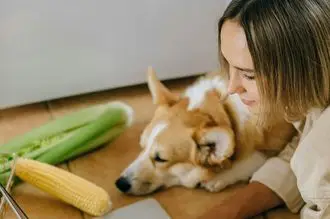 Hundeschule Vilshofen