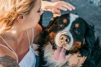 Hundeschule Vreden