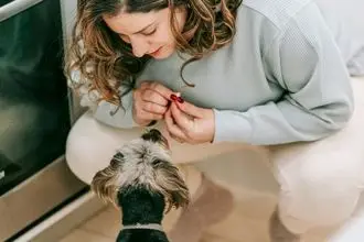 Hundeschule Warendorf