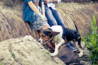 Hundeschule Warin
