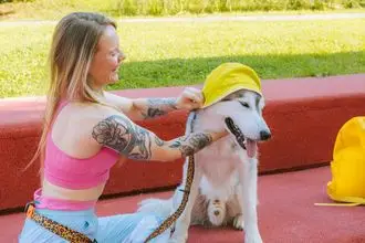 Hundeschule Westerwald