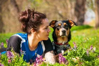 Hundeschule Willich