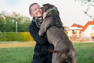 Hundeschule Wilsdruff