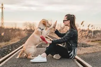 Hundeschule Winnenden